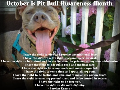 october is pitbull awareness month images